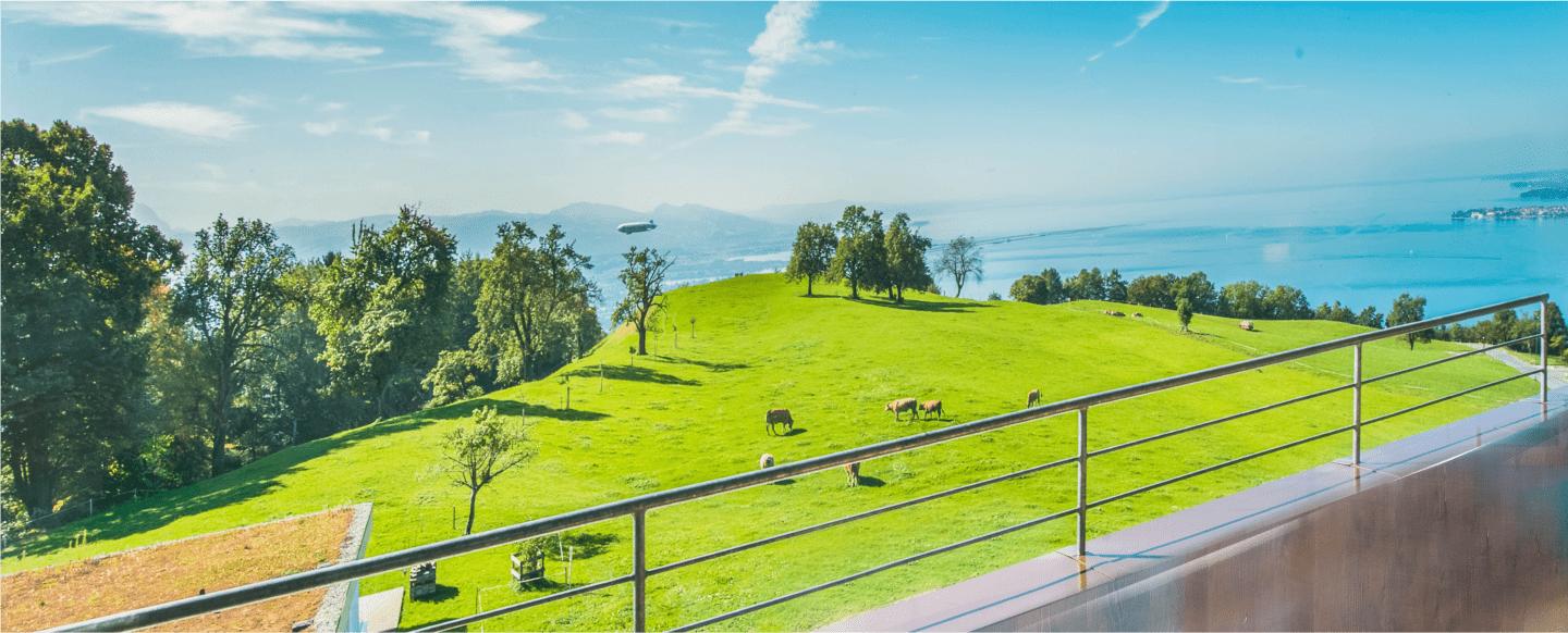 Aufnahme des Ausblicks einer Junior Suite auf die umliegende Landschaft und den Bodensee