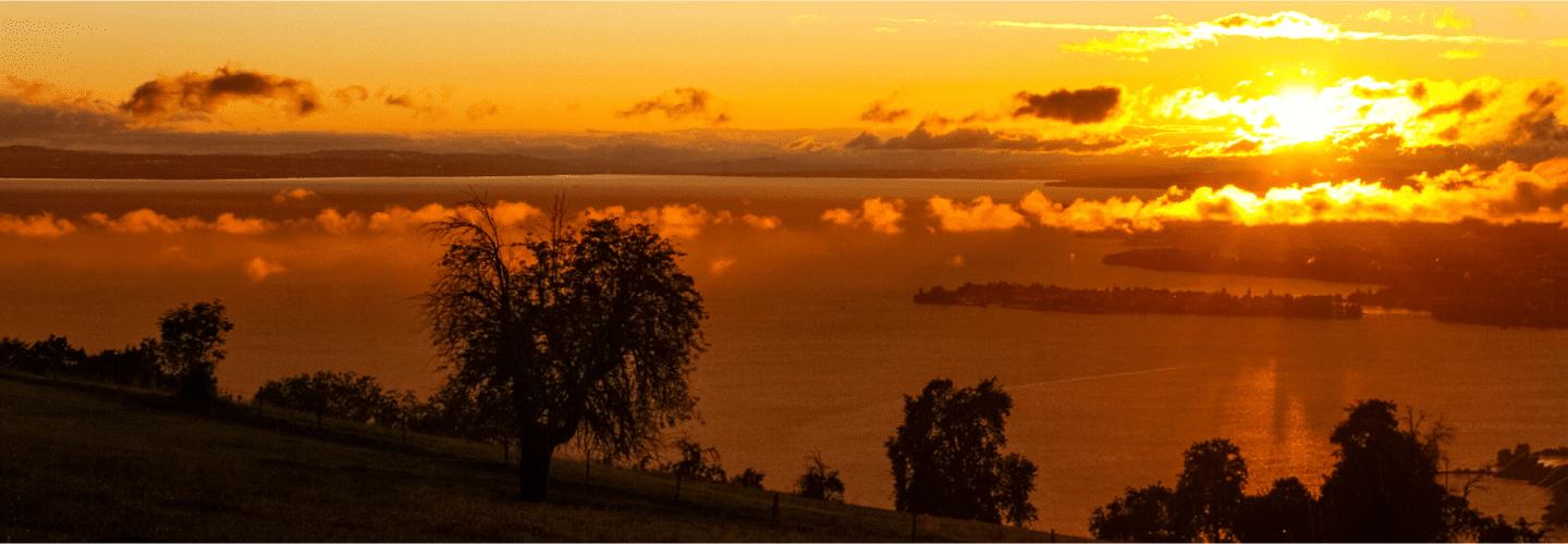 Aufnahme des Bodensees im Sonnenuntergang