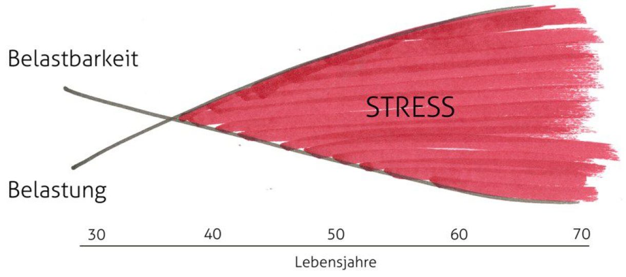 Abbildung des "Stress-Belastungsmodells"