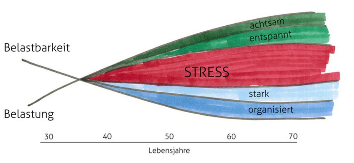 Abbildung des "Stress-OASE-Gesundheitsmodells"