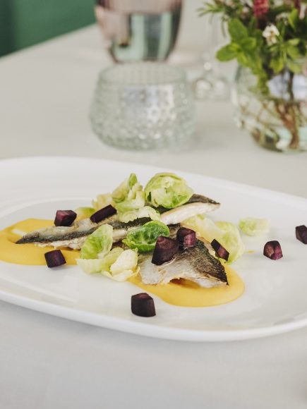 Detailaufnahme eines appetitlich angerichteten Fischgerichts des Restaurants