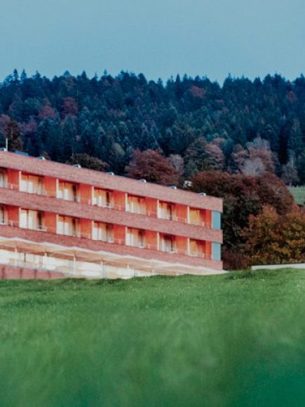 MentalSpaResort Fritsch am Berg vor dem Pfänder als Hintergrzbd