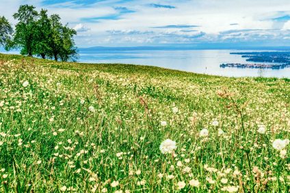 Blick vom Resort Fritsch am Berg auf den Bodensee und Lindau